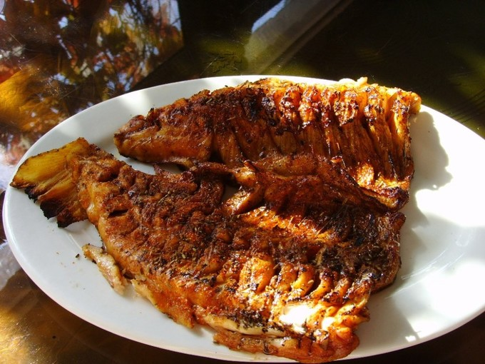 虹鱒魚(yú).png