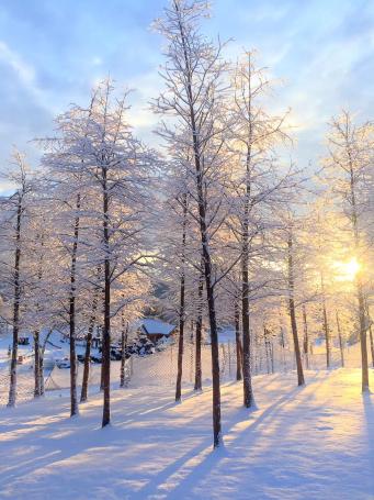 第一場(chǎng)春雪