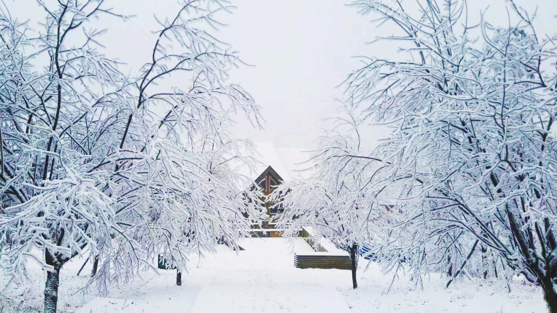 西嶺雪山-初冬