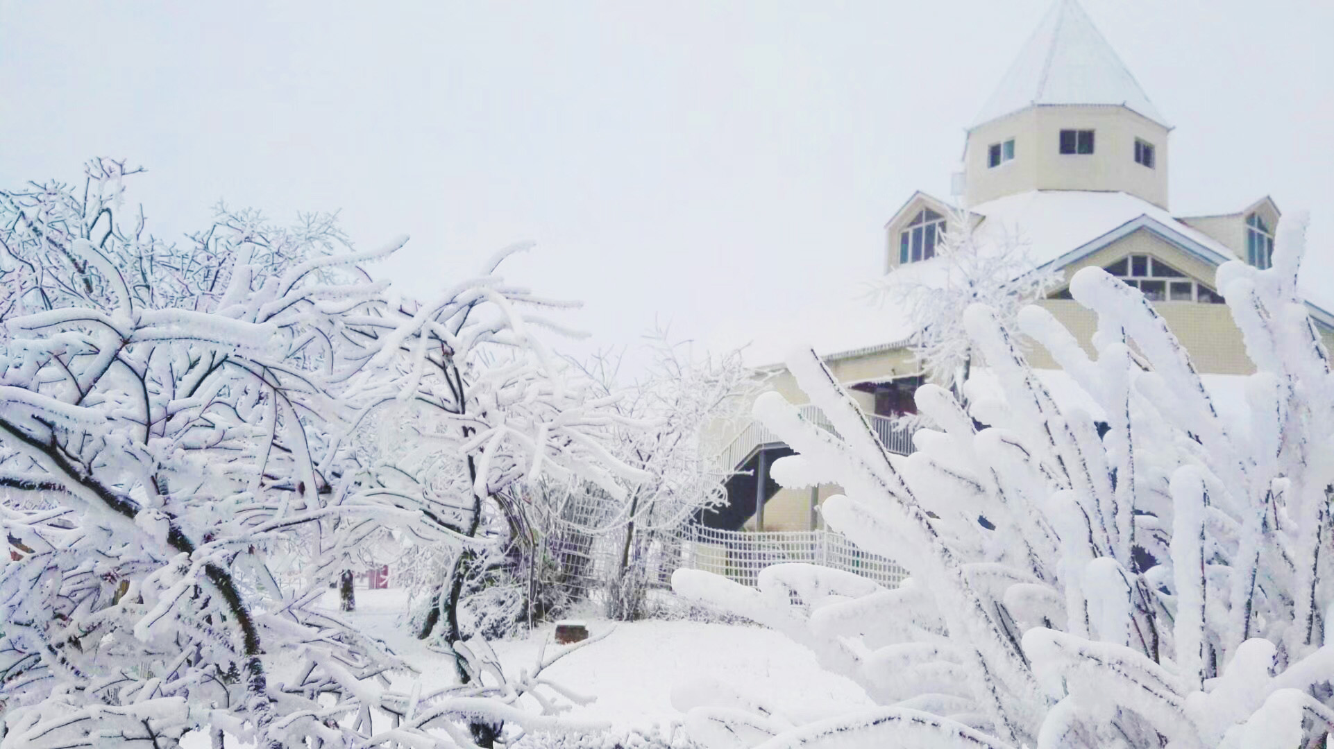西嶺雪山-初冬