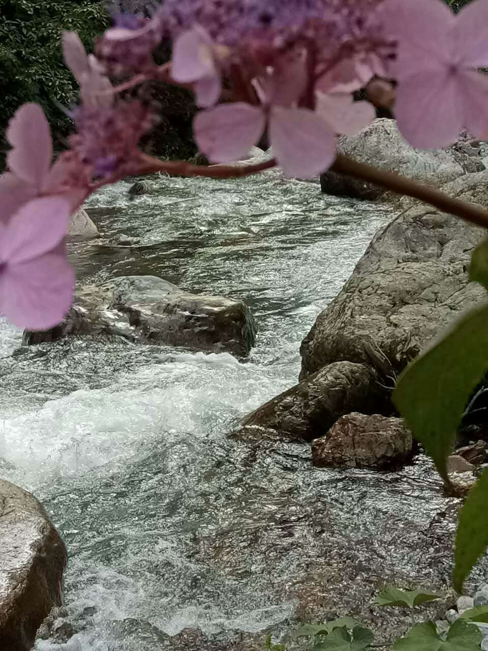 流水潺潺（西嶺前山）