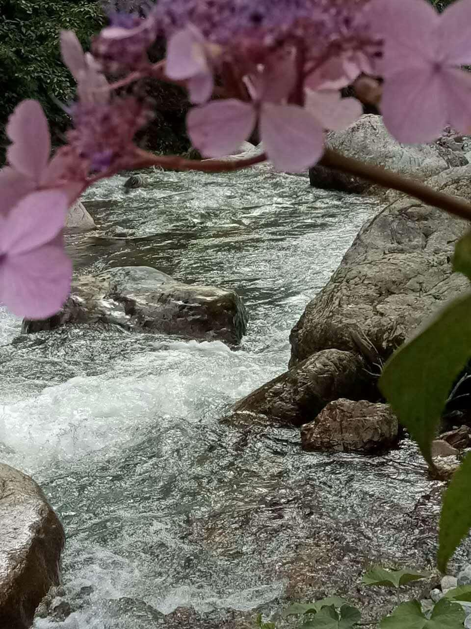 流水潺潺（西嶺前山）