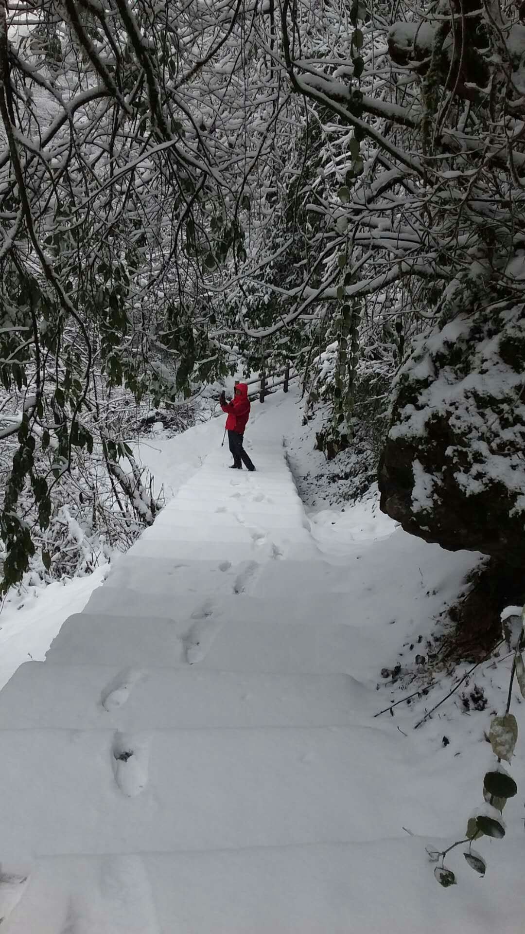 燃燒的雪