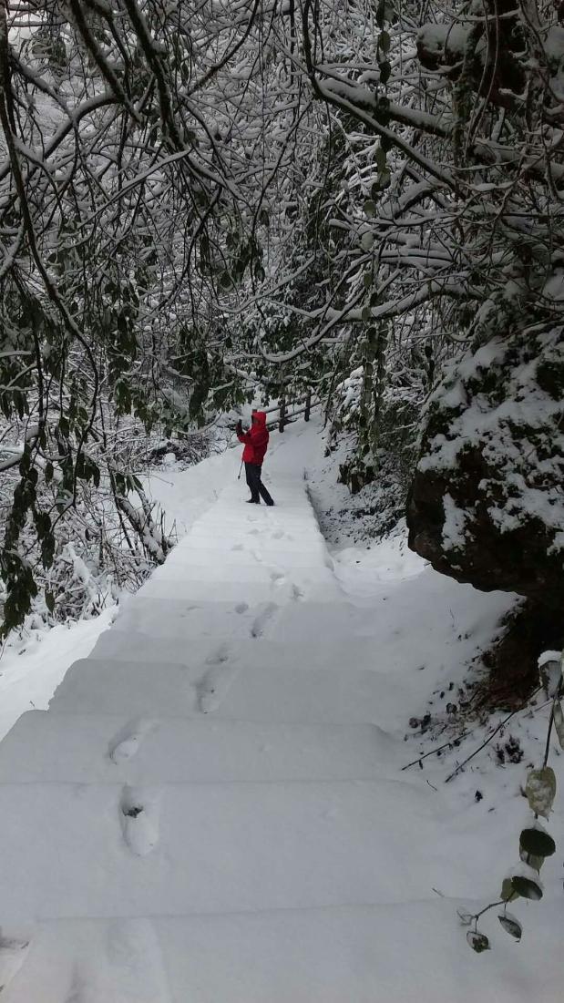 燃燒的雪